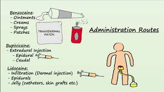 Local Anesthetics  Mechanism Indications amp Side Effects [upl. by Aserehc328]