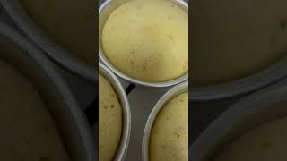 Ultra Soft Cake Mix [upl. by Ahker]