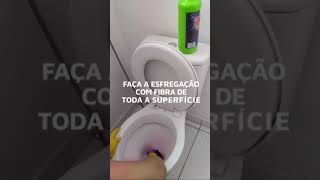 Vasix o desincrustante da Maxbio para vasos sanitários [upl. by Asiul]