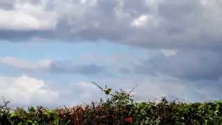 P51 Mustang low pass at Old Sarum 1292015 [upl. by Monty]