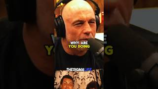 Joe Rogan Reacts to Avengers Endorsing Kamala Harris [upl. by Consuelo126]