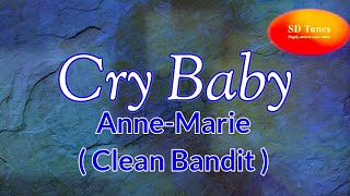 AnneMarie Clean Bandit – Cry Baby lyric video [upl. by Tor]