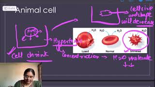 TonicityFundamental unit of lifePart 4Class 9th biology cbseboards2025 ncertscienceclass CTET [upl. by Je]