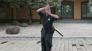 kata aijutsu dojomaharishisathyananda budo artimarziali [upl. by Eenobe]