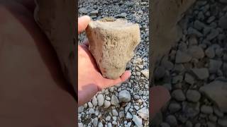 DINOSAUR BONE  Giant Mosasaur Vertebrae  Found Fossil Hunting Texas River [upl. by Sutherland473]