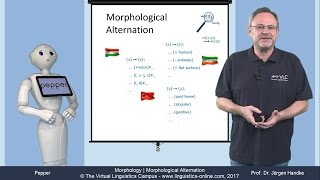 MOR106  Morphological Alternation [upl. by Kcirddec]