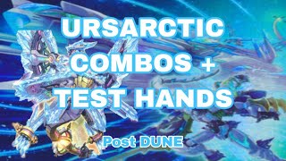 YuGiOh URSARCTIC COMBOS amp TEST HAND Post Duelist Nexus [upl. by Courtenay756]