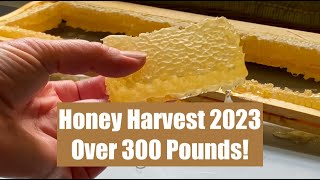 Honey Harvest 2023  spring swarms harvesting extraction bottling and beeswax of whole season 🍯 [upl. by Nev34]