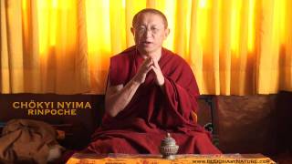 • CHÖKYI NYIMA RINPOCHE • CALM CLEAR KIND • [upl. by Bernard14]