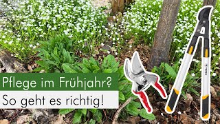 So pflegst du deinen Naturgarten im Frühjahr im Sinne der Tierwelt [upl. by Nwahsirhc]