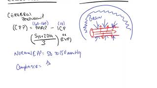 Cerebral Perfusion Pressure and Cerebral Autoregulation [upl. by Dnumyar398]