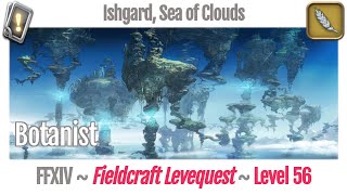 FFXIV Botanist Leves Level 56  Ishgard Sea of Clouds  Heavensward [upl. by Alesiram]