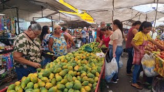 FUI NA FEIRA LIVRE DE AGRESTINAPE E VEJA NOVIDADES DE FIM DE ANO NO NORDESTE [upl. by Eltsirhc]