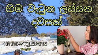 අපිටත් හිම වැටුන  😍  සිංහල VLOG 39  New Zealand  Sri Lankan  Sinhala vlog [upl. by Paola555]