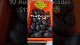 10 Aug 24 Avocados 112kg 😡😵 [upl. by Oguh]