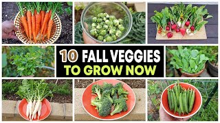 Top 10 Vegetables to grow in Fall amp through Winter [upl. by Trevorr]