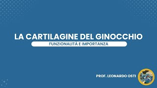 La cartilagine del ginocchio Funzionalità e importanza [upl. by Yona]