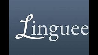 O Site Tradutor De Idiomas Linguee [upl. by Oijile35]