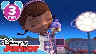 Doktor McStuffins  Flodmonstret  Disney Junior Sverige [upl. by Dedie]