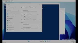 GuideInstall WindowsNotepad into Internet Blocked OS  Server 2025 [upl. by Teeniv]