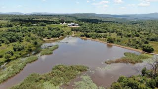 1419ha Feedlot Farm for Sale [upl. by Anerom]