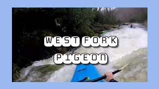 West Fork Pigeon Kayaking [upl. by Nylanej]