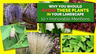 10 PLANTS I WOULD NEVER HAVE IN MY LANDSCAPE [upl. by Proud]