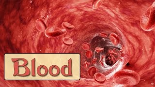 Easy Physiology  Blood  Introduction amp Plasma Proteins [upl. by Nahaj]