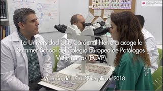 El CEU centro mundial de la Anatomía Patológica Veterinaria [upl. by Savior134]