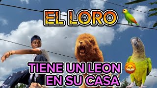 El loro 🦜 me echa un LEON [upl. by Cherilynn]