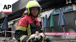 Fire at Thailands famous Chatuchak Weekend Market kills hundreds of caged animals [upl. by Jada]