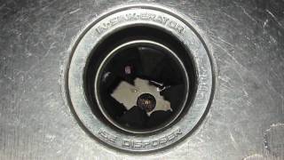 Troubleshooting Garbage Disposals [upl. by Apollus253]