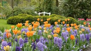 Keukenhof 2014 [upl. by Wheelwright]