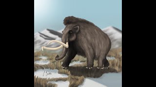 Reconstruction of a woolly mammoth Mammuthus primigenius  Paleoart process [upl. by Bruyn]