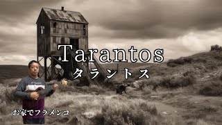 Tarantos（Flamenco solo guitar） 幻想的な響きが美しいフラメンコのタラントス 【ギタレレ】 [upl. by Oyam806]