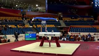 KRASIAS Michalis CYP  2018 Artistic Worlds Doha QAT  Qualifications Pommel Horse [upl. by Philly854]