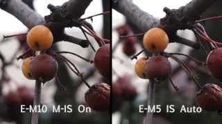 Olympus OMD EM10 vs OMD EM5 3axis stabilisation compared [upl. by Allecram]