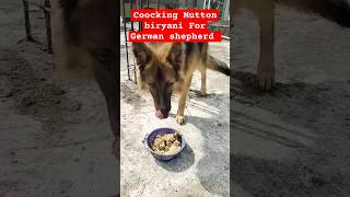 Coocking Mutton biryani For German shepherd Dog Breed Kajal Naina [upl. by Ribble]