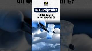 How DNA is Precipitated Using Chilled Ethanol shorts  Dr Ronak Maam [upl. by Ahsirkal]