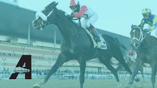 Aqueduct Racing  February 11 2022 [upl. by Ayerf]