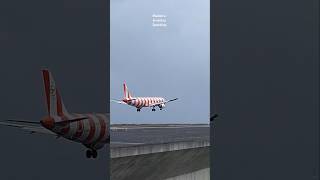 A321 Condor❤️ Red Passion Livery❤️ landing at Madeira Airport aviation condor landing airport [upl. by Gery750]