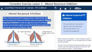 Altered Reciprocal Inhibition and how to counter it quotUnlockquot the hip flexors [upl. by Dombrowski]