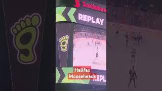 gomoosego hockey goal replay mooseheads [upl. by Christin870]