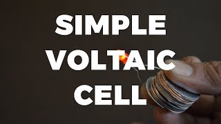 Simple Voltaic Pile [upl. by Sirah]