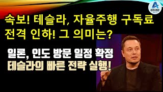 속보 테슬라 자율주행 구독료 전격 인하 그 의미는  일론 인도 방문 일정 확정  테슬라의 빠른 전략 실행 [upl. by Notloc266]