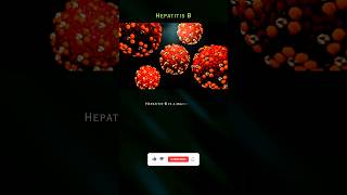 What is HEPATITIS B 💯❤️🙏 facts life health [upl. by Nahshunn]