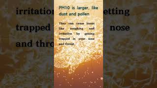 PM25 vs PM10 What’s the Real Difference and Why It Matters for Your Health [upl. by Oah693]