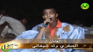 el abghari ould chighaly mauritania music [upl. by Treulich]