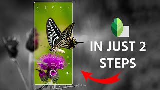 3d mobile frame Photo Editing  snapseed Tutorial  creative 3d mobile Camera [upl. by Crosby682]