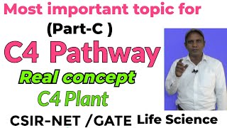 C 4 plant l Photosynthesis for CSIRNET l Dark reaction l Photosynthesis for GATE exam I C4 cycle [upl. by Fiester]